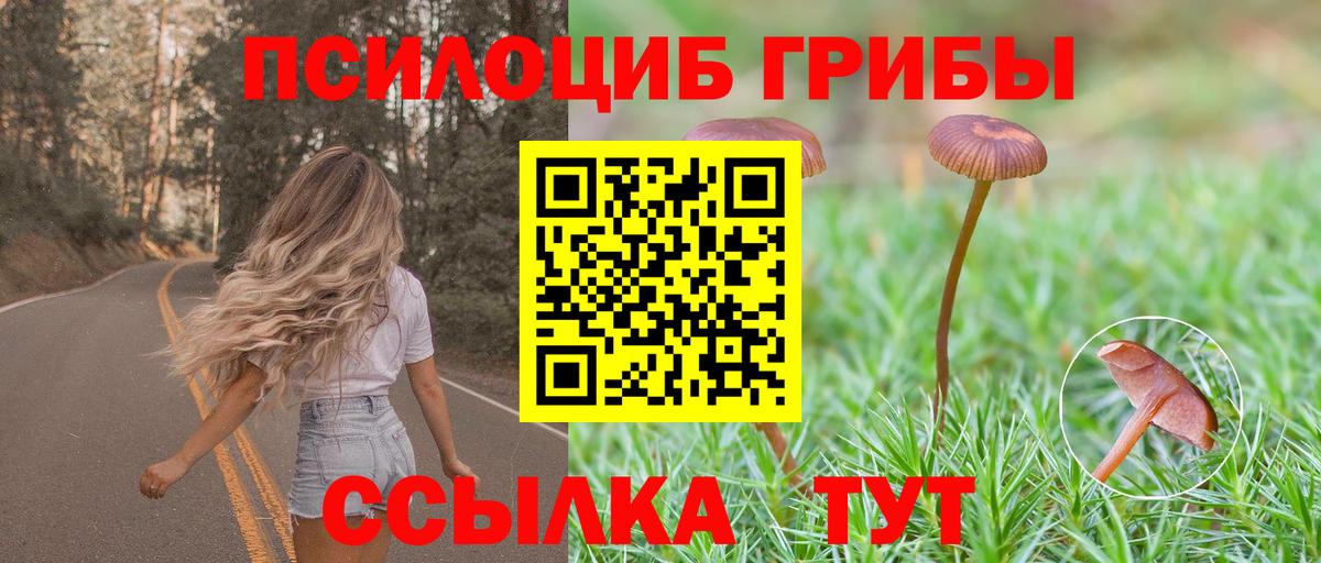 Борисоглебск  Псилоцибиновые грибы MAGIC MUSHROOMS  Вход с VPN  Галлюциногенные грибы GOLDEN TEACHER 